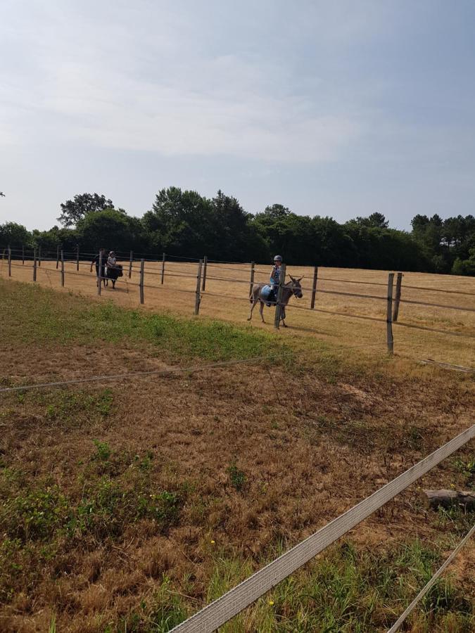 Gite Equestre Domaine Des Crins - Monpazier Capdrot Exterior photo
